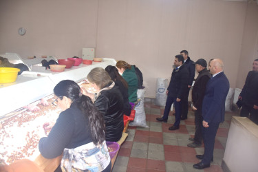 Ölkəmizdə kənd təsərrüfatının bitkiçilik sahəsinin ənənəvi və önəmli istiqamətlərindən biri də fındıqçılıqdır