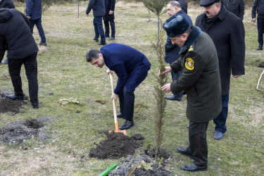 Azərbaycan Respublikasında 2026-cı ilin “Şəhərsalma və Memarlıq İli” elan edilməsi ilə əlaqədar rayon üzrə Tədbirlər Planına uyğun olaraq ağacəkmə aksiyası keçirilmişdir