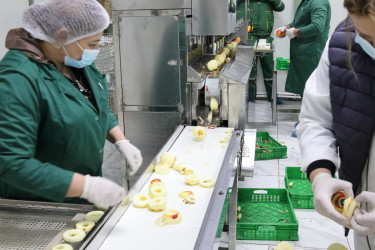 Qaxın “GoodAqro” müəssisəsi fəaliyyətini genişləndirir